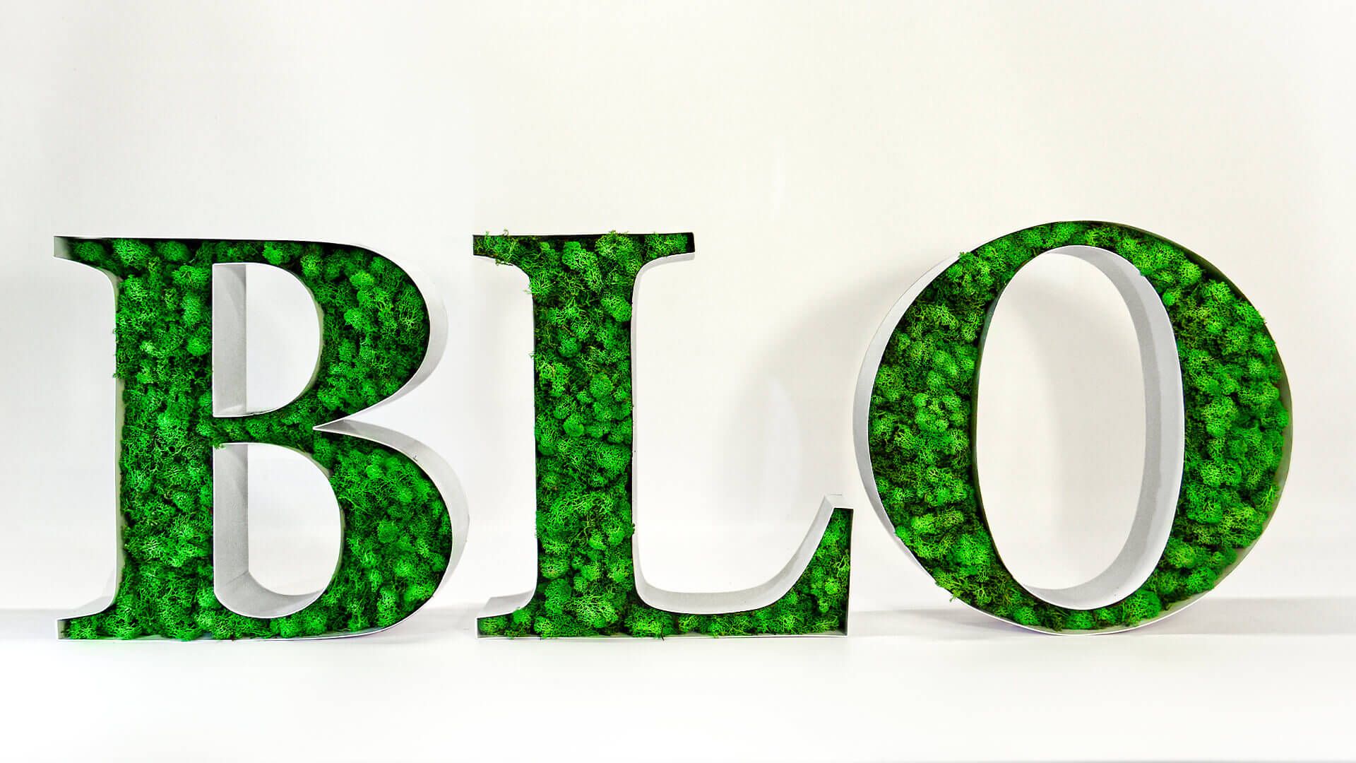 BLO decoratieve letters - BLO decoratieve letters, gevuld met mos.